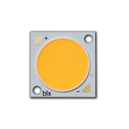 1 pcs : BXRE-30G40H0-C-83 - LED COB V18 WM WH SQUARE 3000K