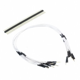 1 pcs : 922-0002-01 - QTY. 5 WHITE MALE/FEMALE 11' 4 W