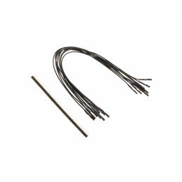 1 pcs : 920-0065-01 - QTY. 10 9' BLACK FEMALE JUMPERS