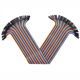 1 pcs : 793 - JUMPER F/F 11.811' 1PC