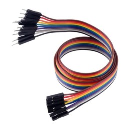 1 pcs : 4570 - JUMPER 10-WIRE RIBBON M-F 24'