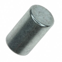 1 pcs : NDFEB 6X10MM - MAGNET 0.236'D X 0.394'THICK CYL