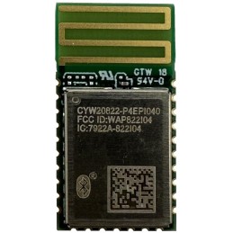 1 pcs : CYW20829B0LKMLTXUMA1 - BLUE TOOTH LOW ENERGY