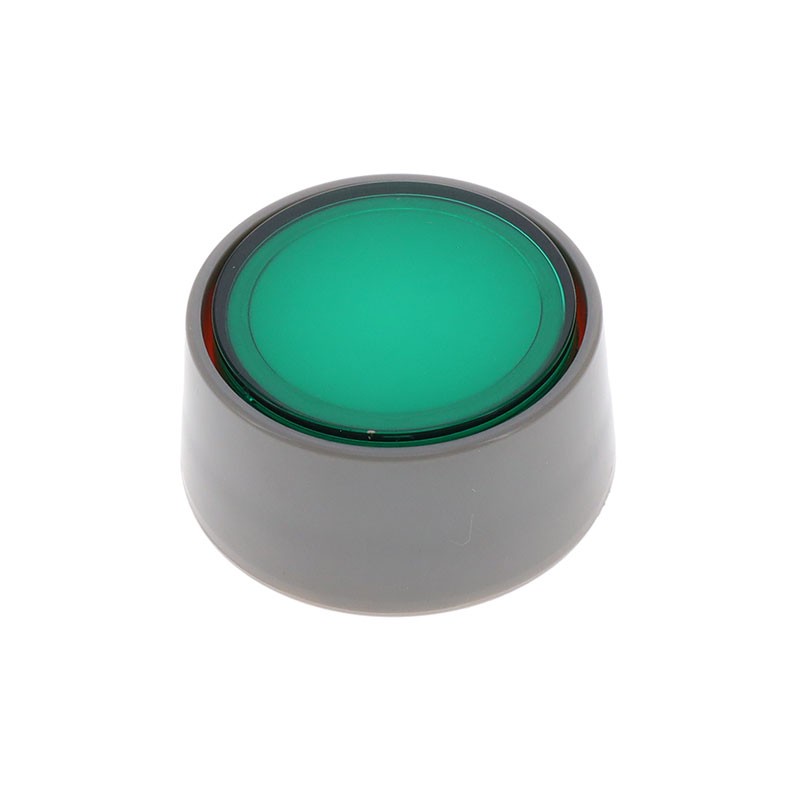 1 pcs : 29MMGRNLENSTRANSPARENT - 29MMGRNLENSTRANSPARENT