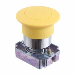 1 pcs : 2AM8 - CONFIG SW BODY E-STOP NON-ILLUM