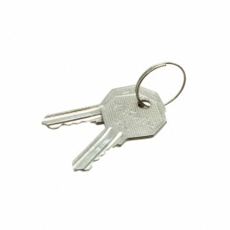1 pcs : 2KY455 - KEY 455 FOR KEY SELECTOR FOR US