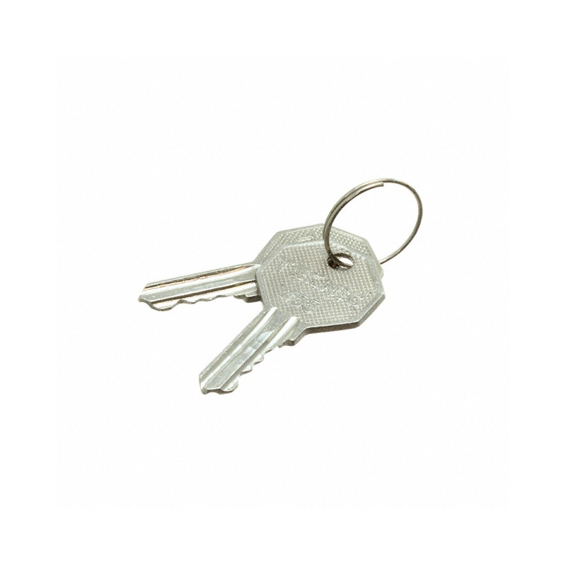 1 pcs : 2KY455 - KEY 455 FOR KEY SELECTOR FOR US