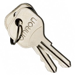 1 pcs : A22K-K - REPLACEMENT KEY A22 SERIES 2 PCS