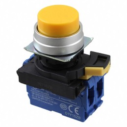 1 pcs : A22NN-MPA-NYA-G101-NN - SWITCH PUSH DPST-NO 10A 120V
