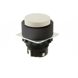 1 pcs : A22NZ-BPM-TWA - CONFIG SW BODY PUSHBUTTON ILLUM