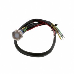 1 pcs : AV1920DG12T5Q04 - SWITCH PUSHBUTTON DPDT 3A 250V