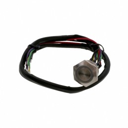 1 pcs : AV2520EA12T5Q04 - SWITCH PUSHBUTTON DPDT 3A 250V