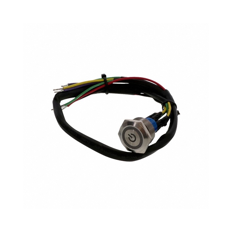 1 pcs : AV2520MA12T5Q04 - SWITCH PUSHBUTTON DPDT 3A 250V