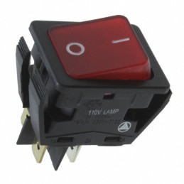 1 pcs : C6053ALBR2-1197W-B - SWITCH ROCKER DPST 20A 277V