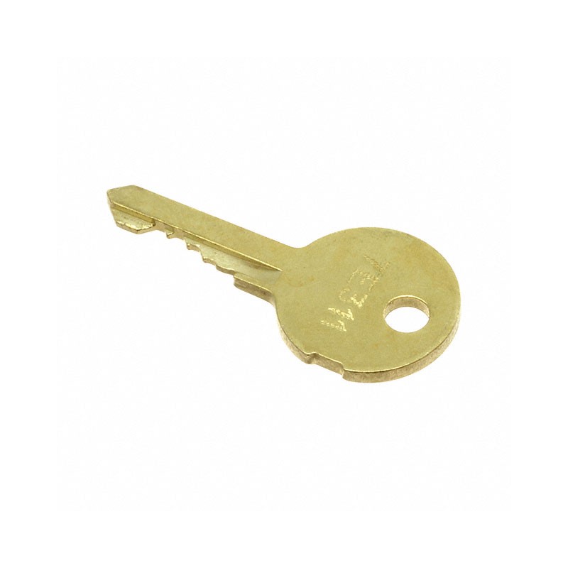 1 pcs : EUS-31-989.311B - (31-989.311B) BRASS SPARE KEY