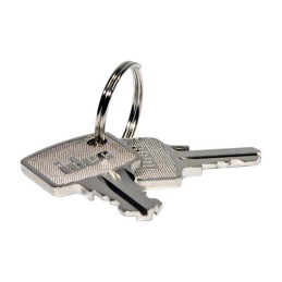 1 pcs : HW9Z-SKP - REPLACEMENT KEY