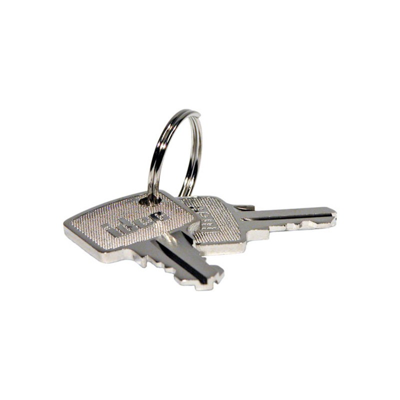 1 pcs : HW9Z-SKP - REPLACEMENT KEY