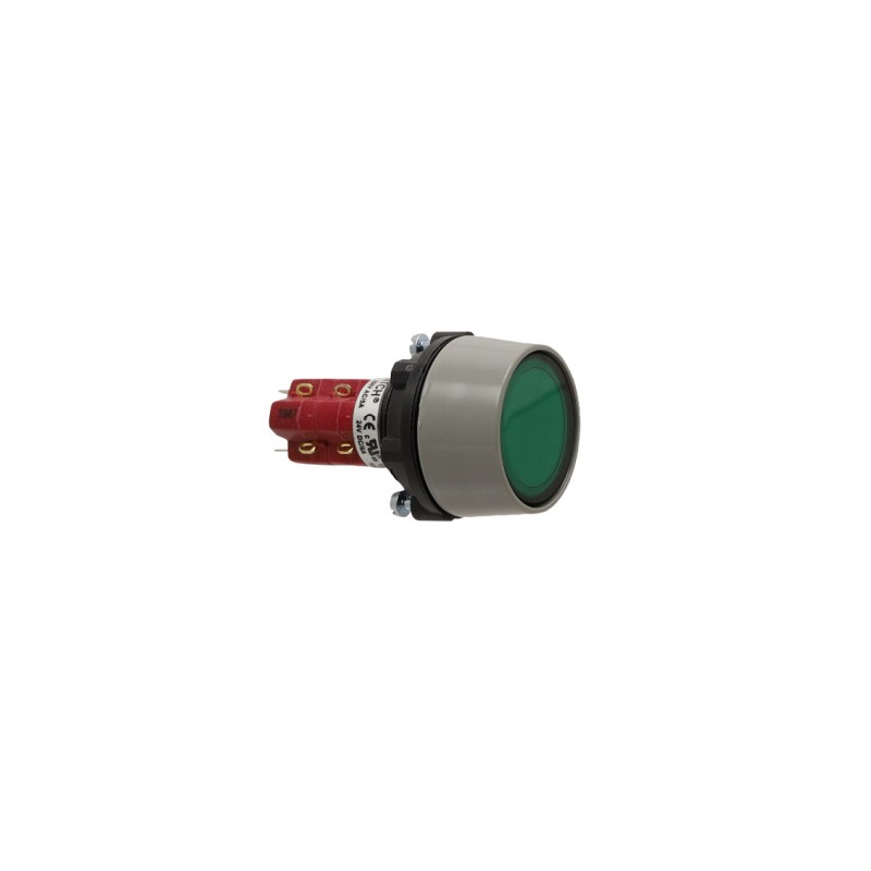 1 pcs : LASOAU120GRN - SWITCH PUSHBUTTON DPDT 8A 125V