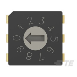 1 pcs : MRSSV1DG10THT - SW ROTARY DIP GRY CODE 0.4VA 20V