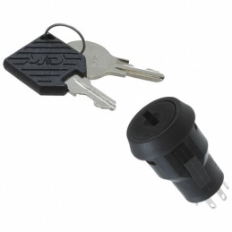 1 pcs : P20113TCM03Q22 - SWITCH KEYLOCK 2POS DPDT 4A 125V