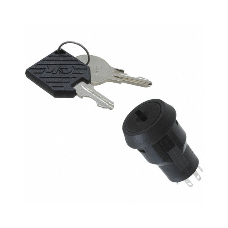 1 pcs : P20113TCM03Q22 - SWITCH KEYLOCK 2POS DPDT 4A 125V