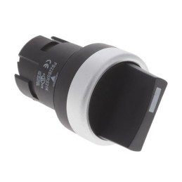 1 pcs : PB22BSRS31K - CONFIG SW BODY SELECT NON-ILLUM