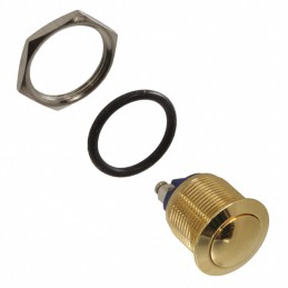 1 pcs : PV1S640GG - SWITCH PUSHBUTTON SPST-NO 2A 48V