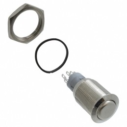 1 pcs : PV3F2H0NN - SWITCH PUSHBUTTON DPDT 2A 48V