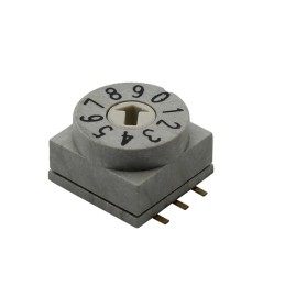 1 pcs : RD10RA10RGT - SWITCH ROTARY DIP BCD 0.15A 50V