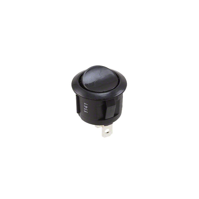 1 pcs : RRG38431100 - SWITCH ROCKER SPST-NO 10A 125V