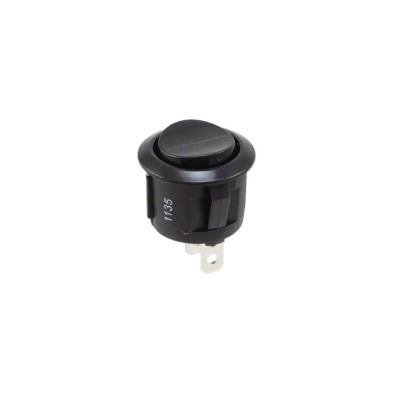 1 pcs : RRG38531100 - SWITCH ROCKER SPDT 10A 125V