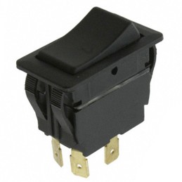 1 pcs : RVW42D1100 - SWITCH ROCKER DPST 20A 125V
