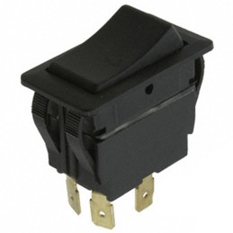 1 pcs : RVW4ED1100 - SWITCH ROCKER DPST-NO 20A 125V
