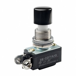 1 pcs : SB221TNO - SWITCH PUSH SPST-NO 3A 125V