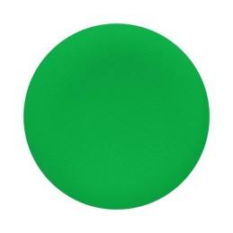 1 pcs : ZBA3 - GREEN CAP UNMARKED FOR CIRCULAR