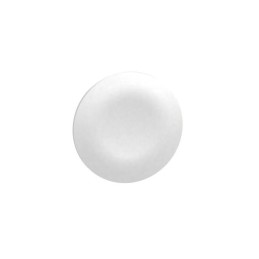 1 pcs : ZBA71 - WHITE CAP UNMARKED FOR RECTANGUL