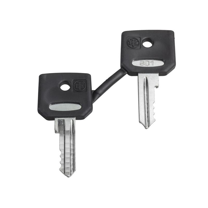 1 pcs : ZBG421E - HARMONY XB4, SET OF 2 KEYS, RONI
