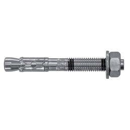 1 Bag of 10 - RawlPlug Steel Through Bolt 10mm x 80mm, 10mm Fixing Hole