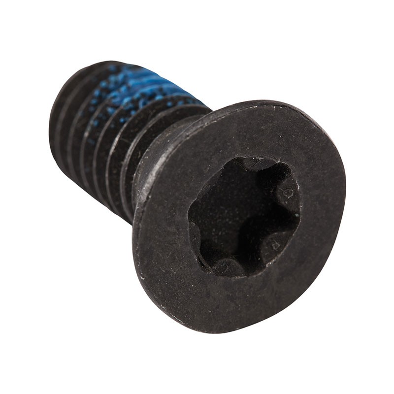 1 pcs : 244 - LONG GAFF SCREW