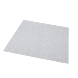 1 pcs : 481-8.5'X11'-15 - POLISHING FILM SIL CARB 11'X8.5'