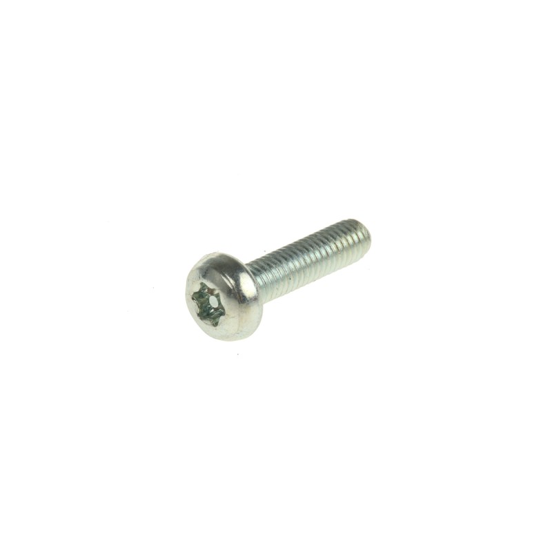 1 Bag of 100 - RS PRO Bright Zinc Plated Pan Steel Tamper Proof Security Screw, M3 x 12mm