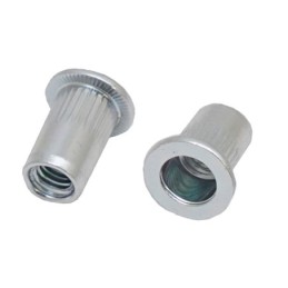 1 Bag of 100 - RS PRO Steel Blind Rivet, 6.9mm