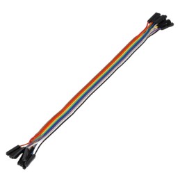 1 pcs : MIKROE-2307 - RIBBON CBL 10-WIRE FEM/FEM 20CM