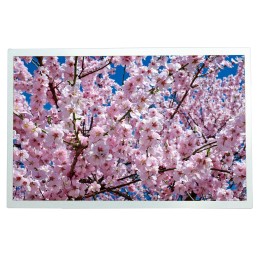 1 pcs - RS PRO TFT TFT LCD Display / Touch Screen, 12.1in XGA, 1280 x 800pixels