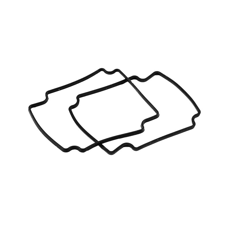 1 pcs : 1590Z100G - GASKET FOR 1590Z SERIES