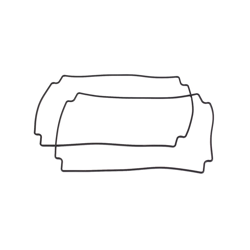 1 pcs : 1590Z162G - GASKET FOR 1590Z SERIES