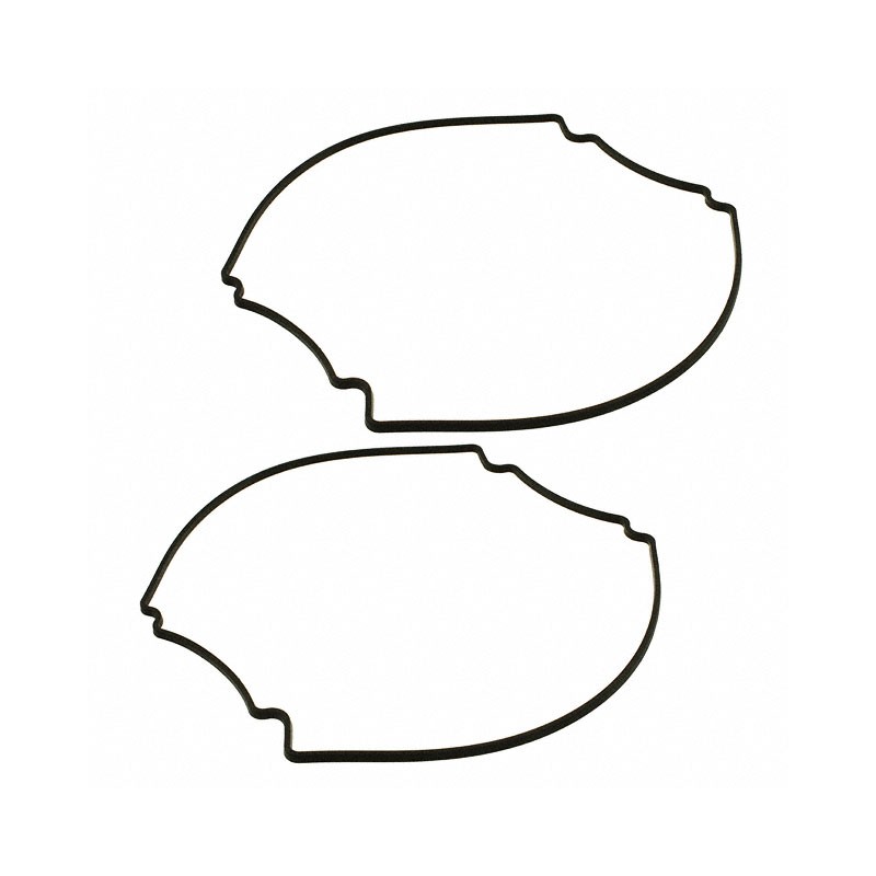 1 pcs : 1590Z130G - GASKET FOR 1590Z SERIES