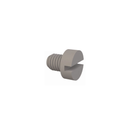 1 pcs : 50M050080D006 - CHEESE SLOTTED SCREW, M5 X .8 TH