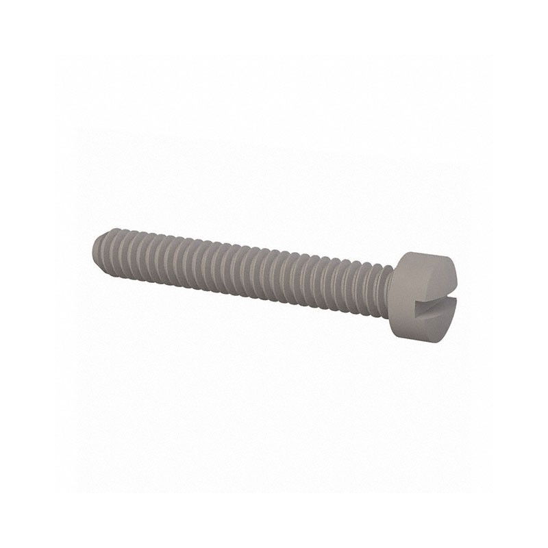 1 pcs : 010256F056 - FILLISTER SLOTTED SCREW 2-56 THR