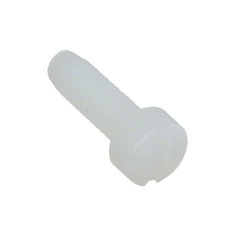 1 pcs : 012520F050 - FILLISTER SLOTTED SCREW, NATURAL